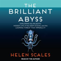 The_Brilliant_Abyss